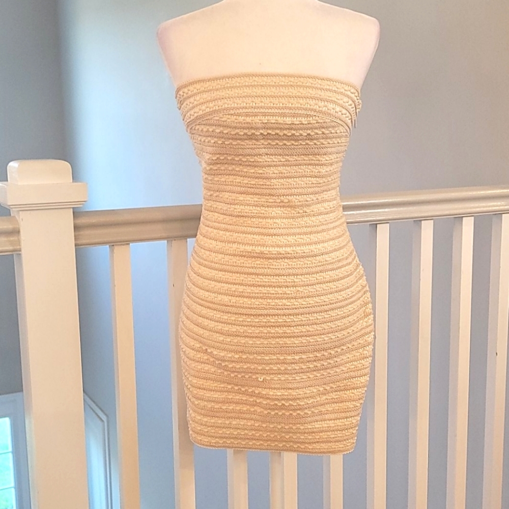 NWT strapless bodycon dress
